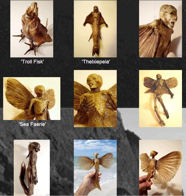 Thực hư quái vật người cá được rao bán giá cả nghìn USD ảnh 10